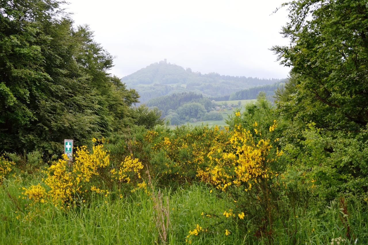 Franky House Am Nuerburgring Bed & Breakfast Quiddelbach Екстериор снимка