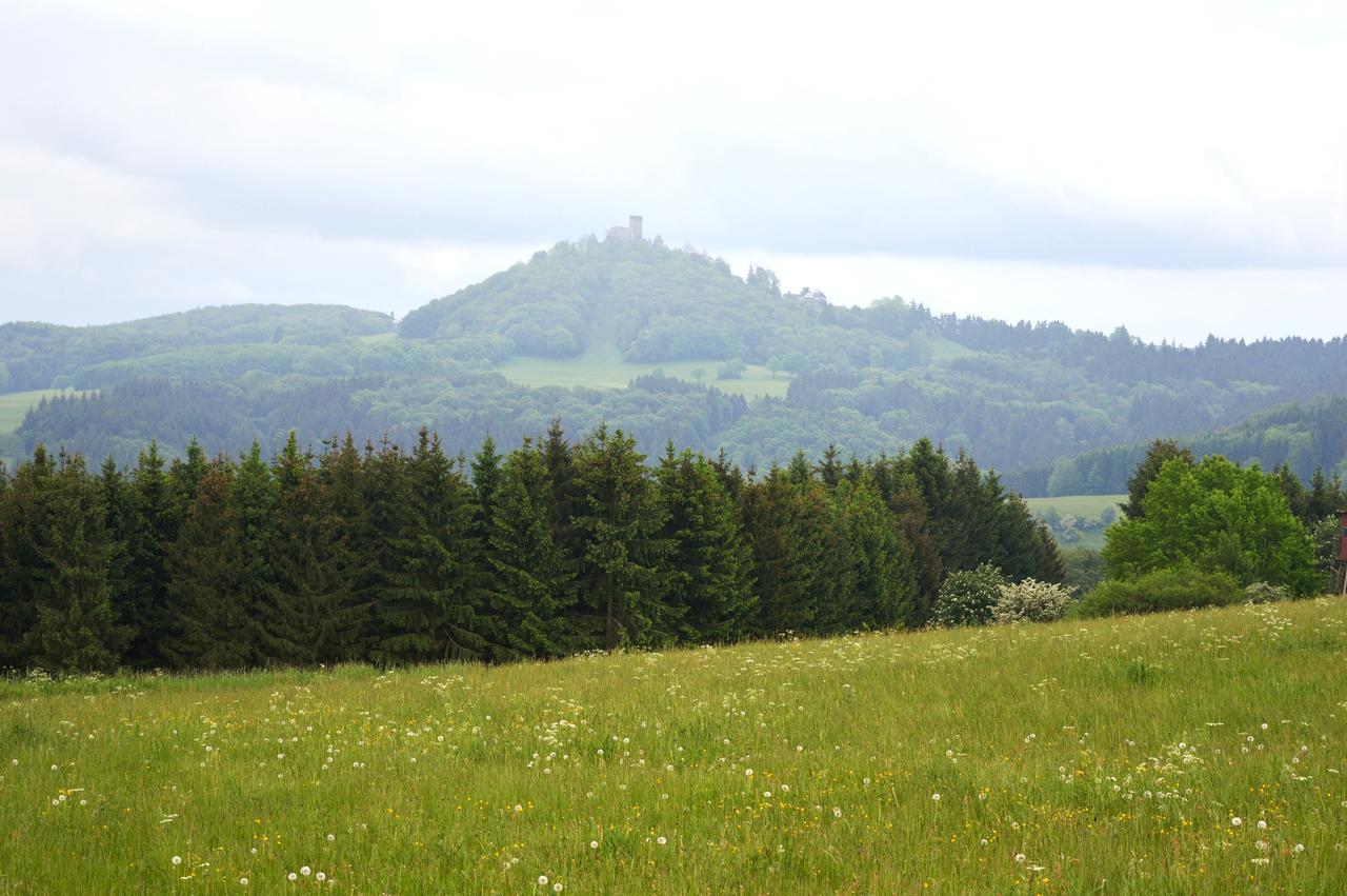 Franky House Am Nuerburgring Bed & Breakfast Quiddelbach Екстериор снимка